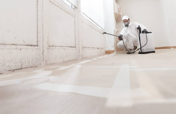 24/7 Emergency Mold Remediation experts in Hillsboro, IL